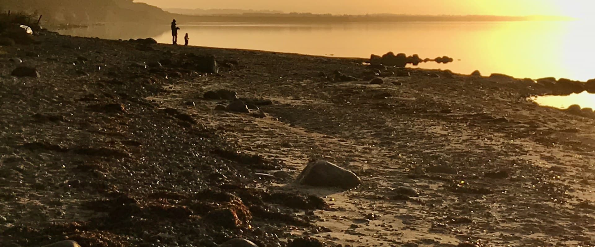 Silhuetter ved solnedgang, Knud Strand